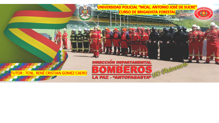 BRIGADISTA FORESTAL